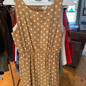 Women's Cocktail/Garden Dress Size 8 J.Crew